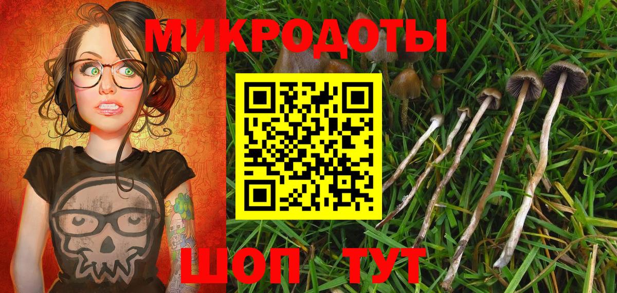 Галлюциногенные грибы мухоморы Камышлов