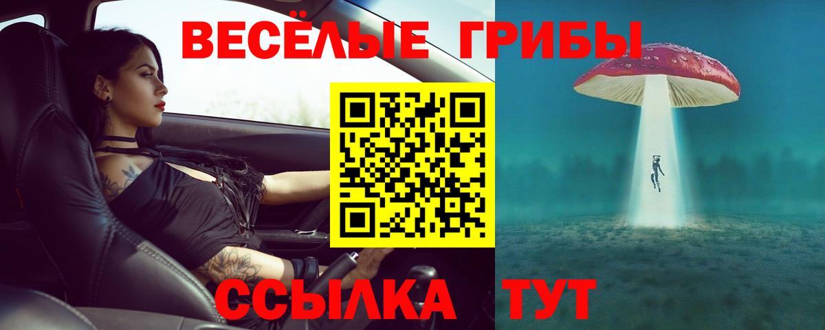 Псилоцибиновые грибы прущие грибы  Вход с VPN  Камышлов 